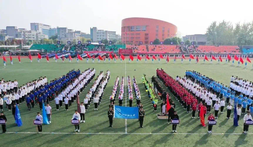 法国百保利网球拍好不好