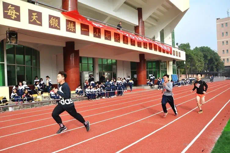 网球拍手胶抗老化